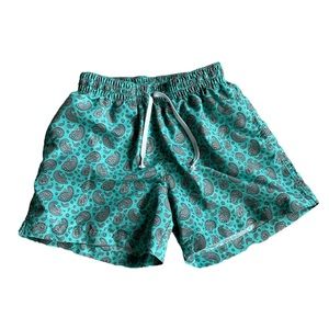 Chubbies Swim Trunks Mens Size Small Teal Gray Paisley Drawstring Lined Pocket